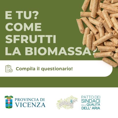 Disponibile online un questionario sull’utilizzo della biomassa ad uso domestico